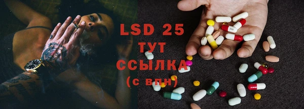 PSILOCYBIN Балабаново
