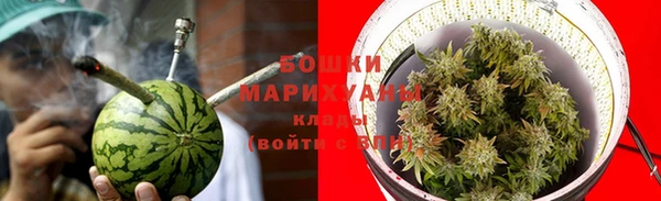 трава Балахна