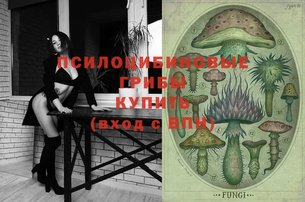 PSILOCYBIN Балабаново