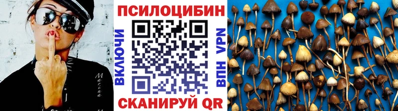 omg ссылка  цены наркотик  Гатчина  Галлюциногенные грибы ЛСД 